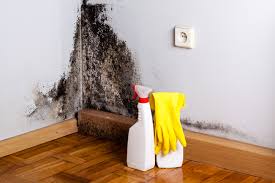 Best Air Quality Testing for Mold Spores  in Bartonsville, MD